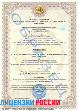 Образец разрешение Александровск Сертификат ISO 50001